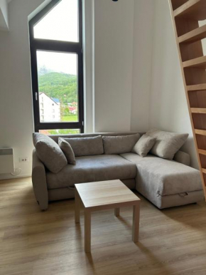 AniMer Apartment